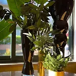Hotel Des Bains 3*