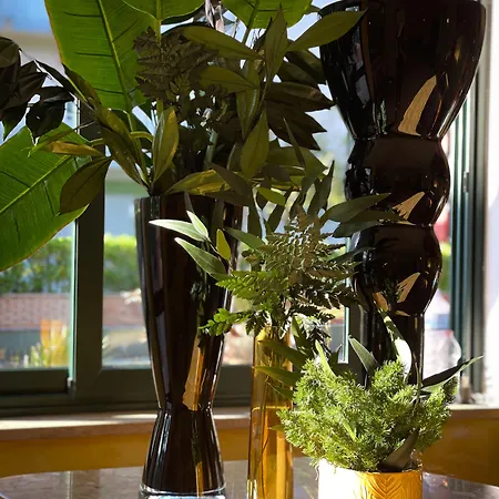 Hotel Des Bains 3*