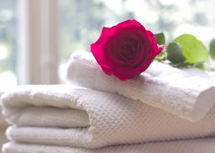 Des Bains 3* Milano Marittima